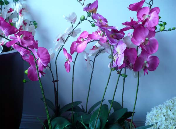 Manson Silk Flower Company -Orchids