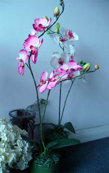 Manson Silk Flower Company - Orchids